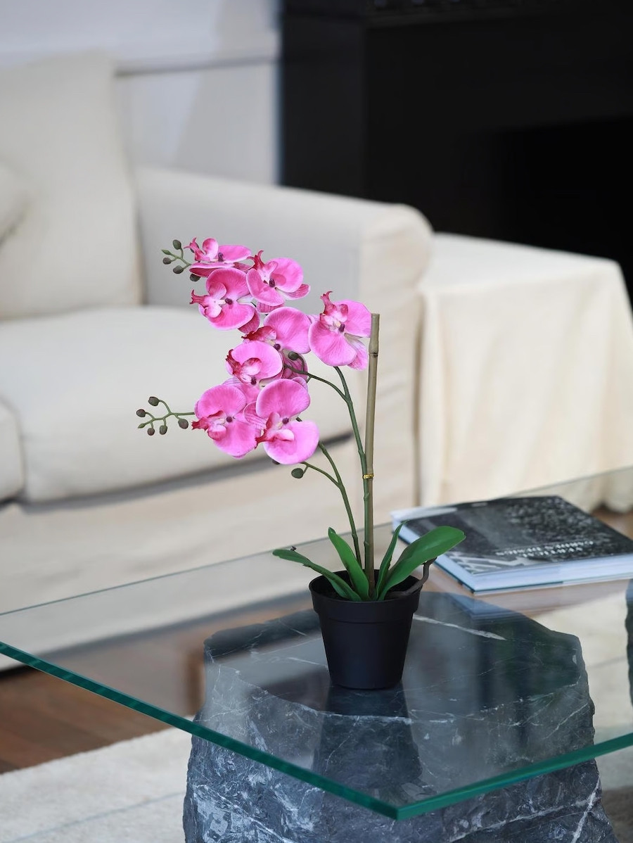 Mesa de centro de vidrio. Sobre ella hay una orquídea rosada en un macetero negro. Atrás se ve un sofá blanco.