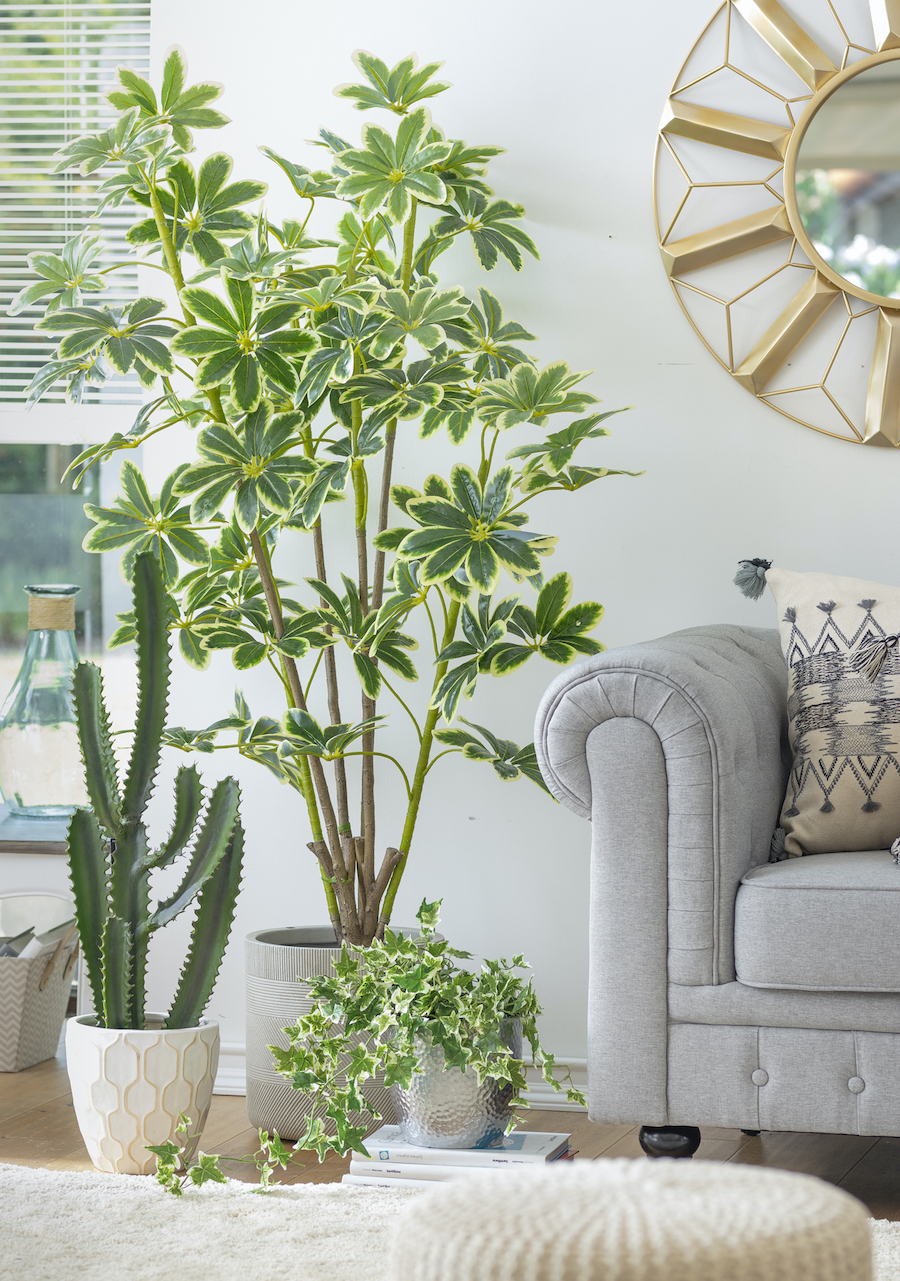Living con plantas de diferentes tipo y tamaño en maceteros de cerámica. están junto a un sofá gris. Gran espejo dorado y redondo en el muro.